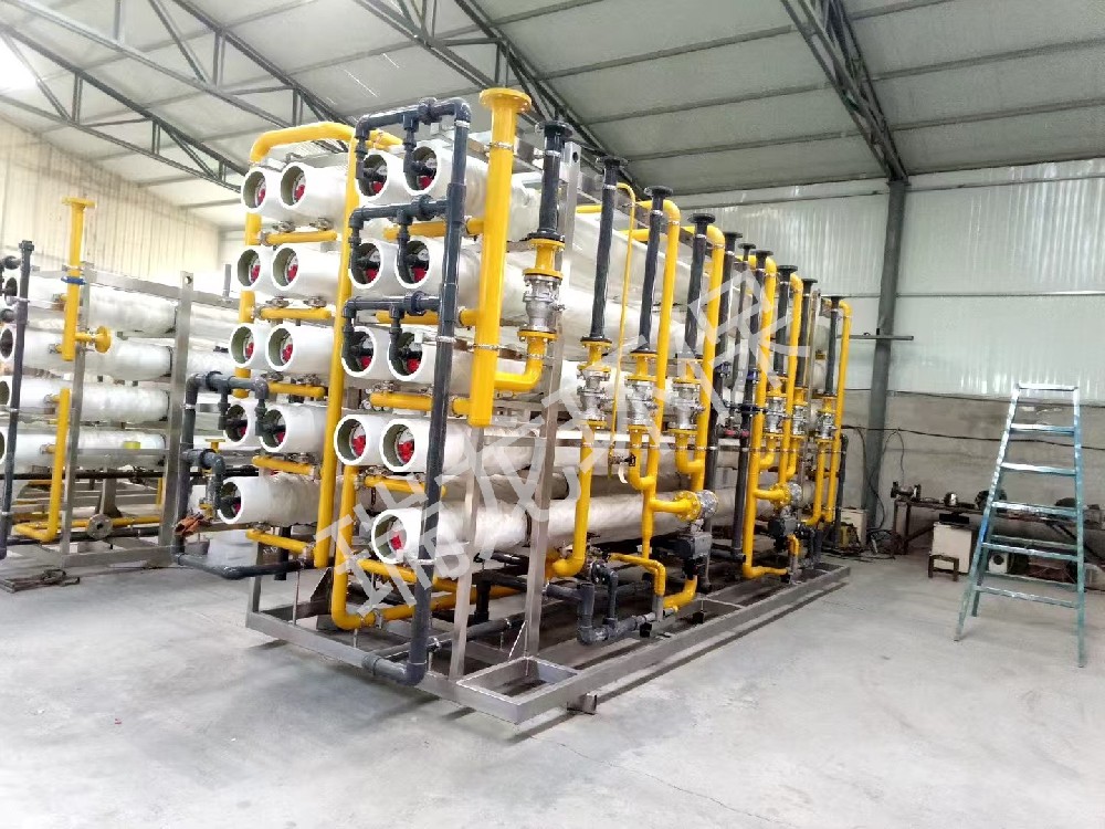 瑞龍環(huán)保工業(yè)純水案例—定制反滲透機(jī)組 瑞龍環(huán)保工業(yè)純水案例—定制反滲透機(jī)組